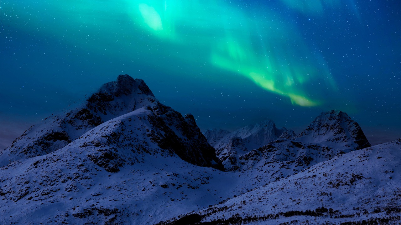 Polar Paradox: Dinosaurs in the Ancient Arctic (image credits: pixabay)