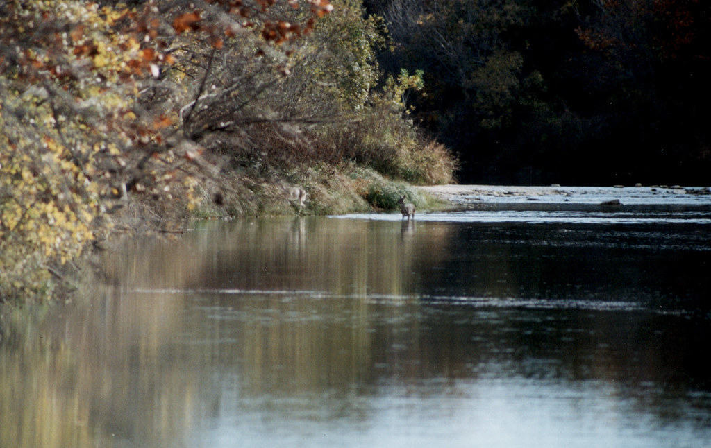 Lakeside Communities: Freshwater Oases (image credits: flickr)