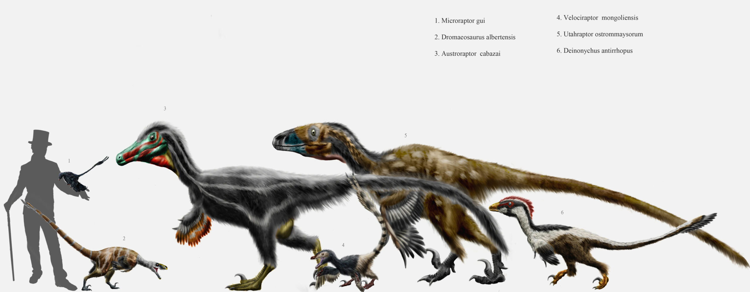 The Size Deception That Fooled Millions (image credits: wikimedia)