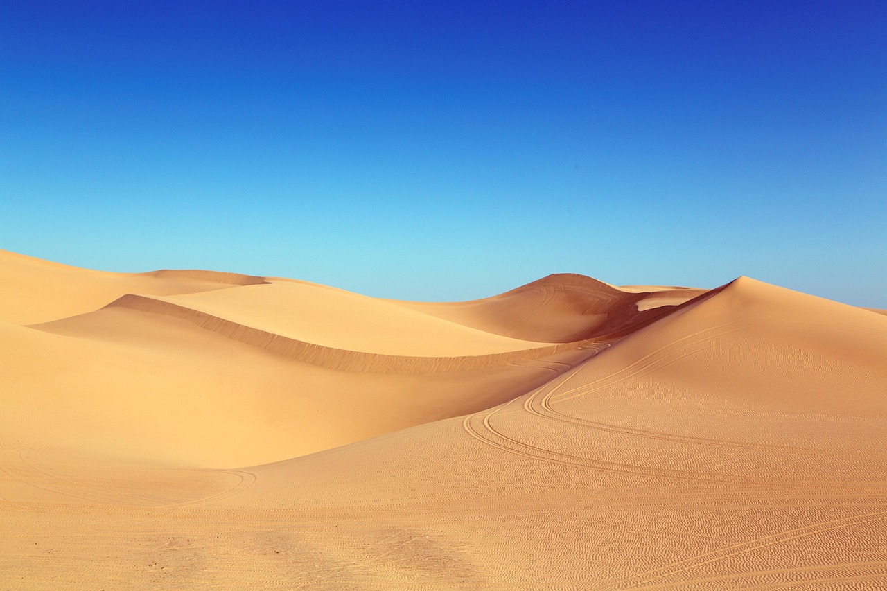 Environmental Accuracy: Where They Really Lived (image credits: pixabay)