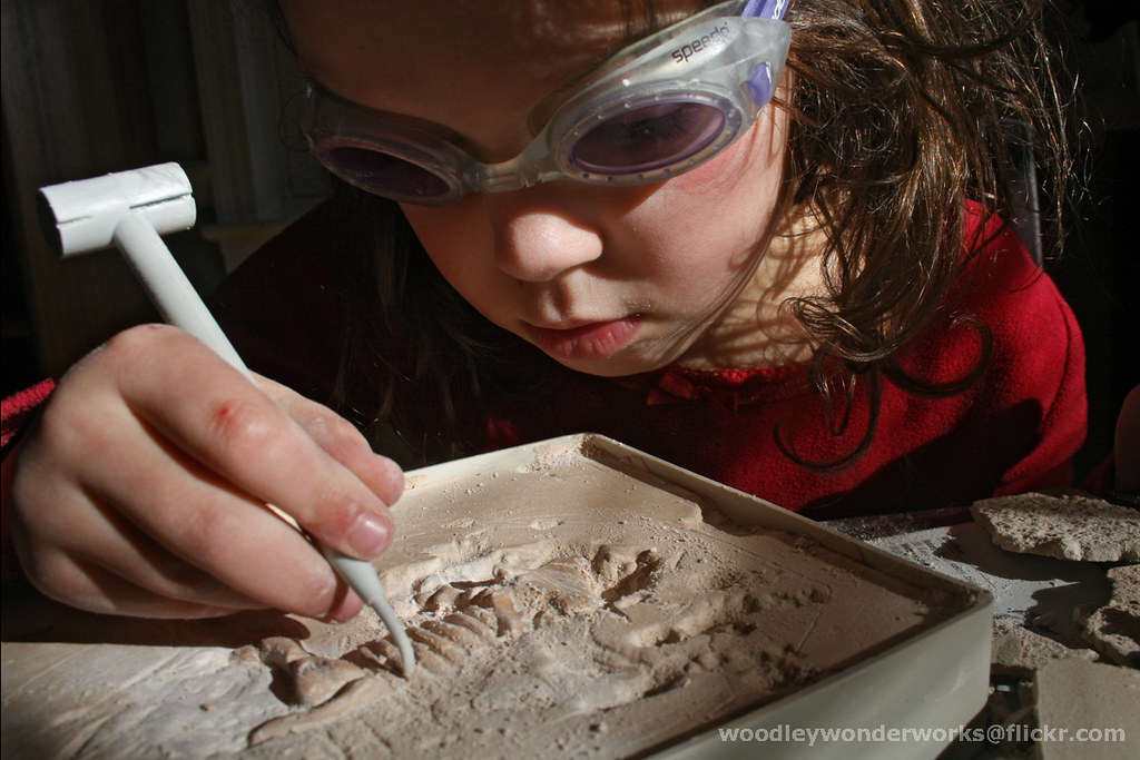 Interactive Fossil Dig Experience (image credits: flickr)