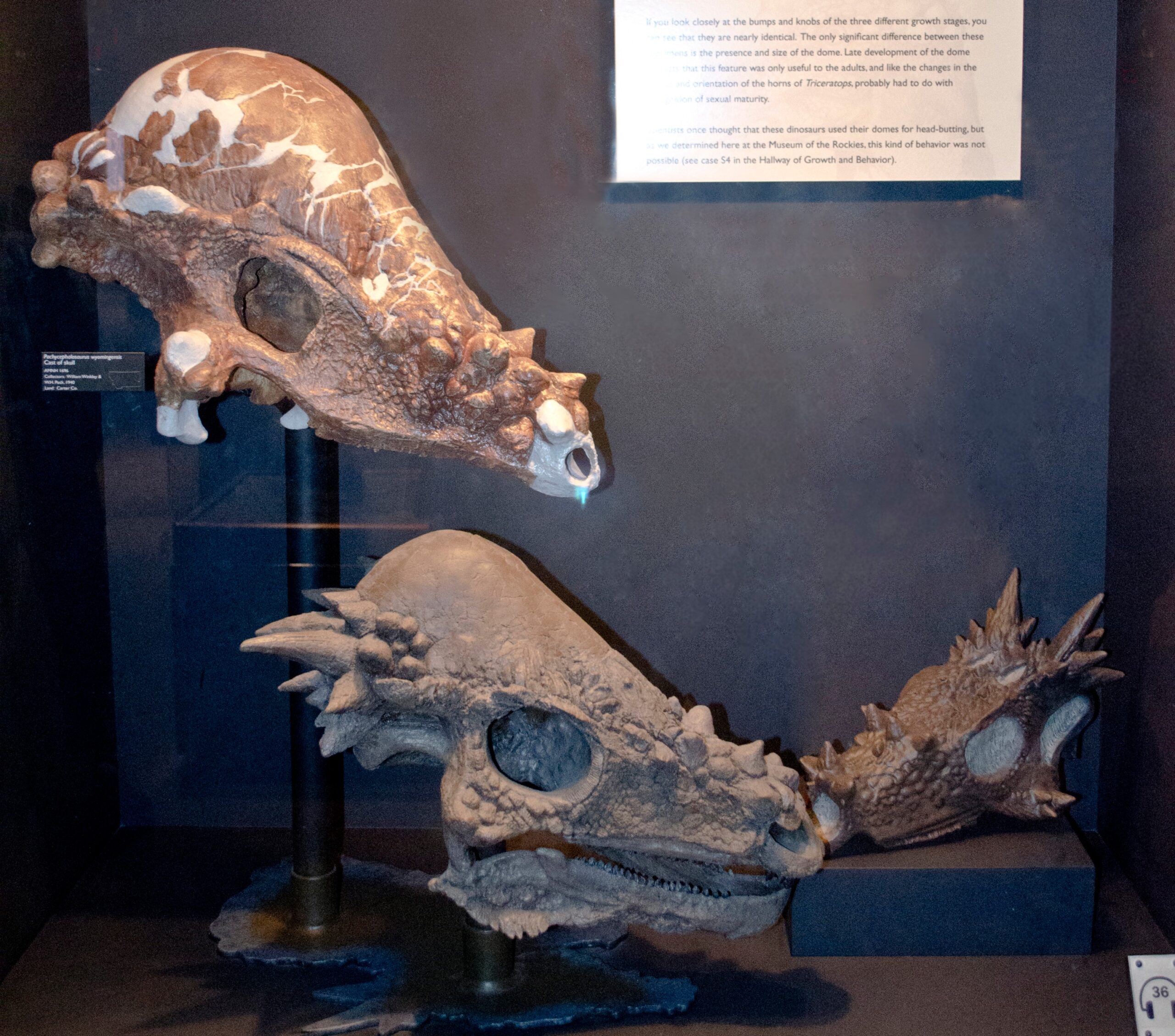 The Research Behind the Displays (image credits: By Tim Evanson, CC BY-SA 2.0, https://commons.wikimedia.org/w/index.php?curid=27596726)