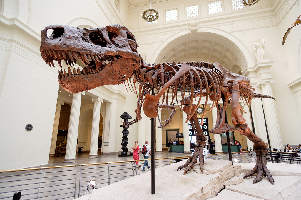 Scientific Foundation Meets Adventure Storytelling (image credits: flickr)