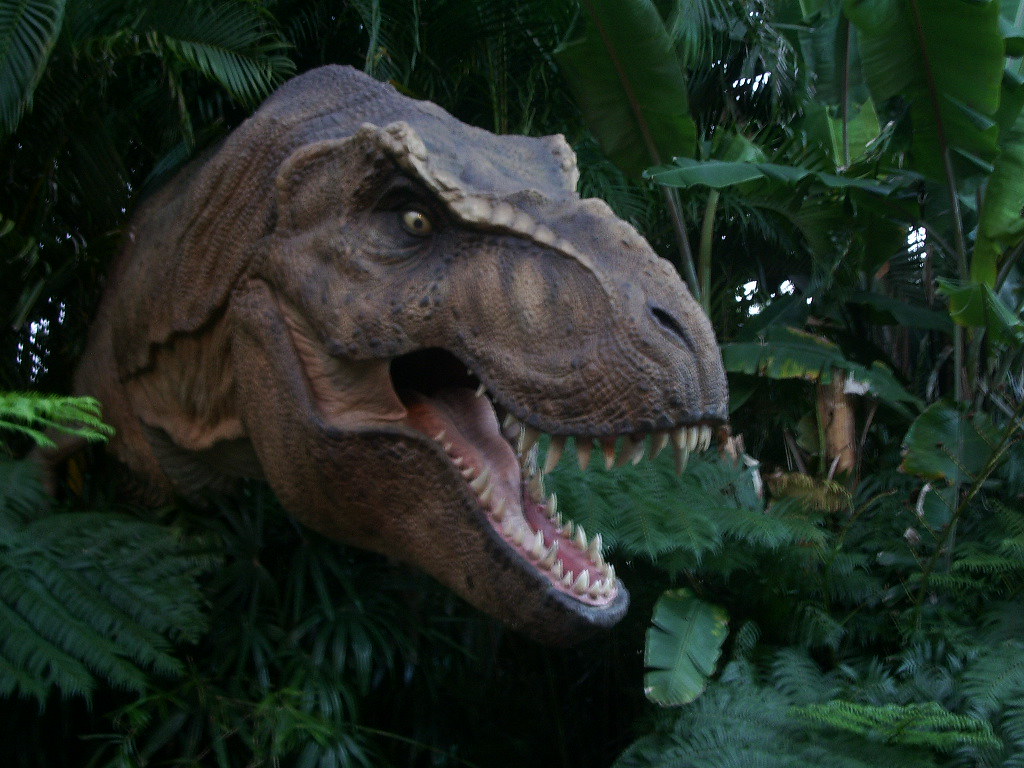 The Environmental Message Evolution (image credits: flickr)