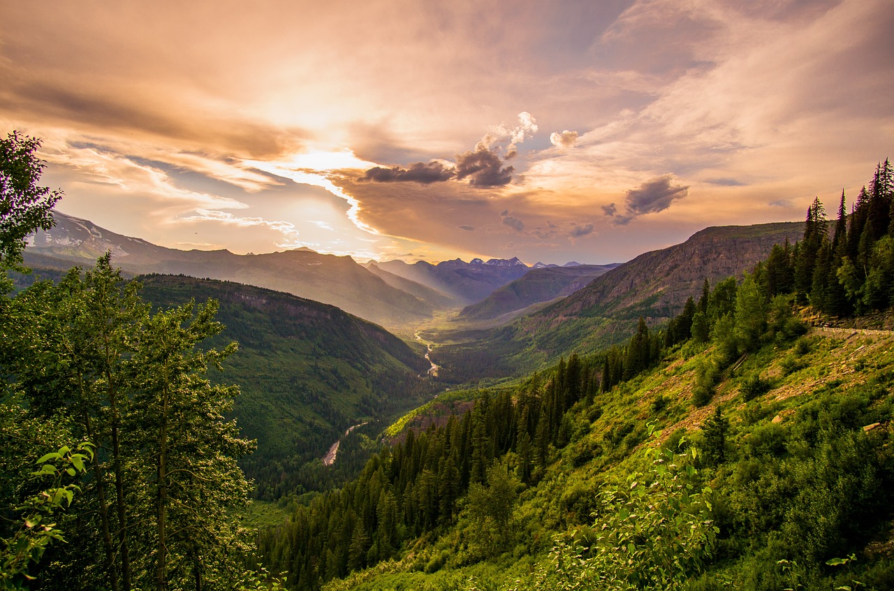 The Rise of Oxygen Changed Everything (image credits: pixabay)