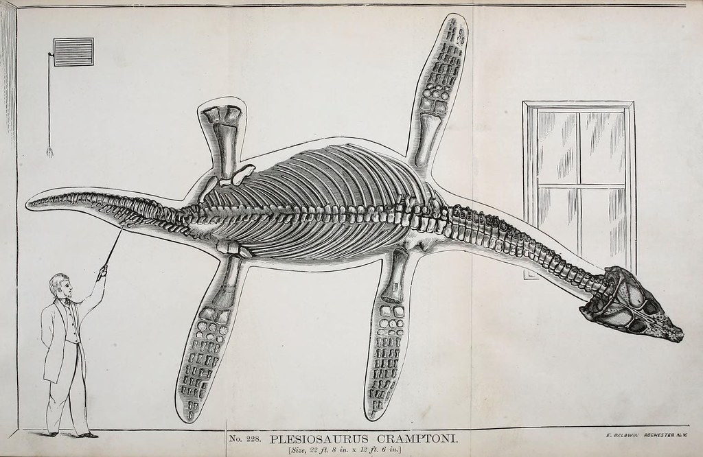 Marine Reptile Gigantism (image credits: flickr)