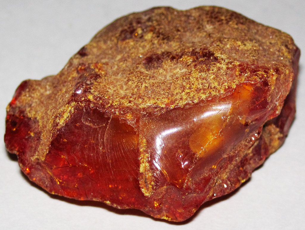 Amber: Nature's Perfect Time Capsules (image credits: flickr)