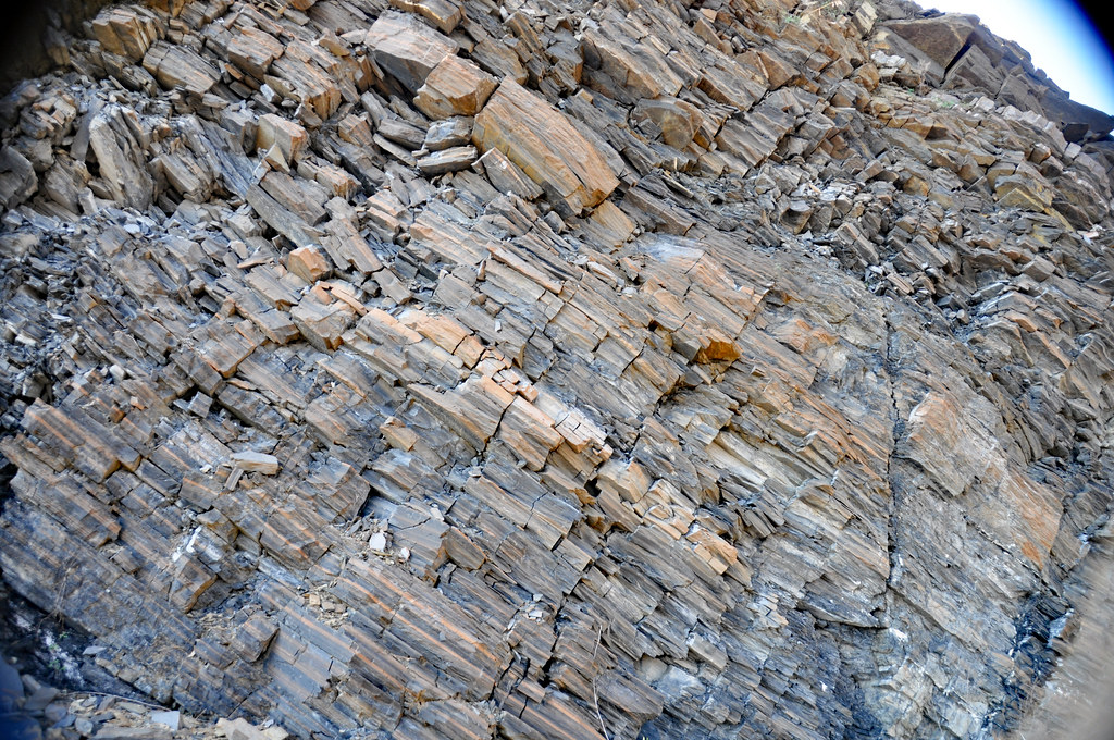 The Deep Past Shapes Our Future (image credits: flickr)