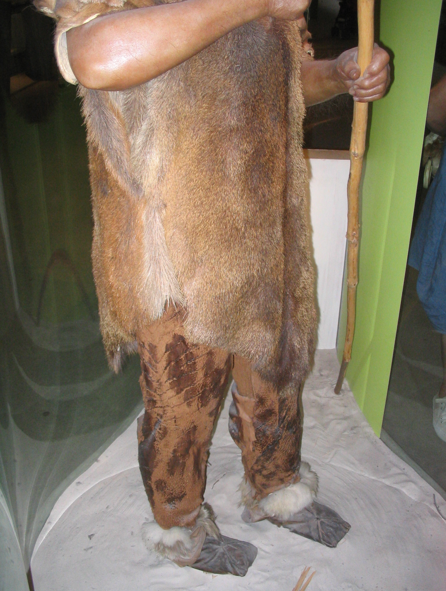 The Educational Impact of Prehistoric Fashion (image credits: wikimedia)
