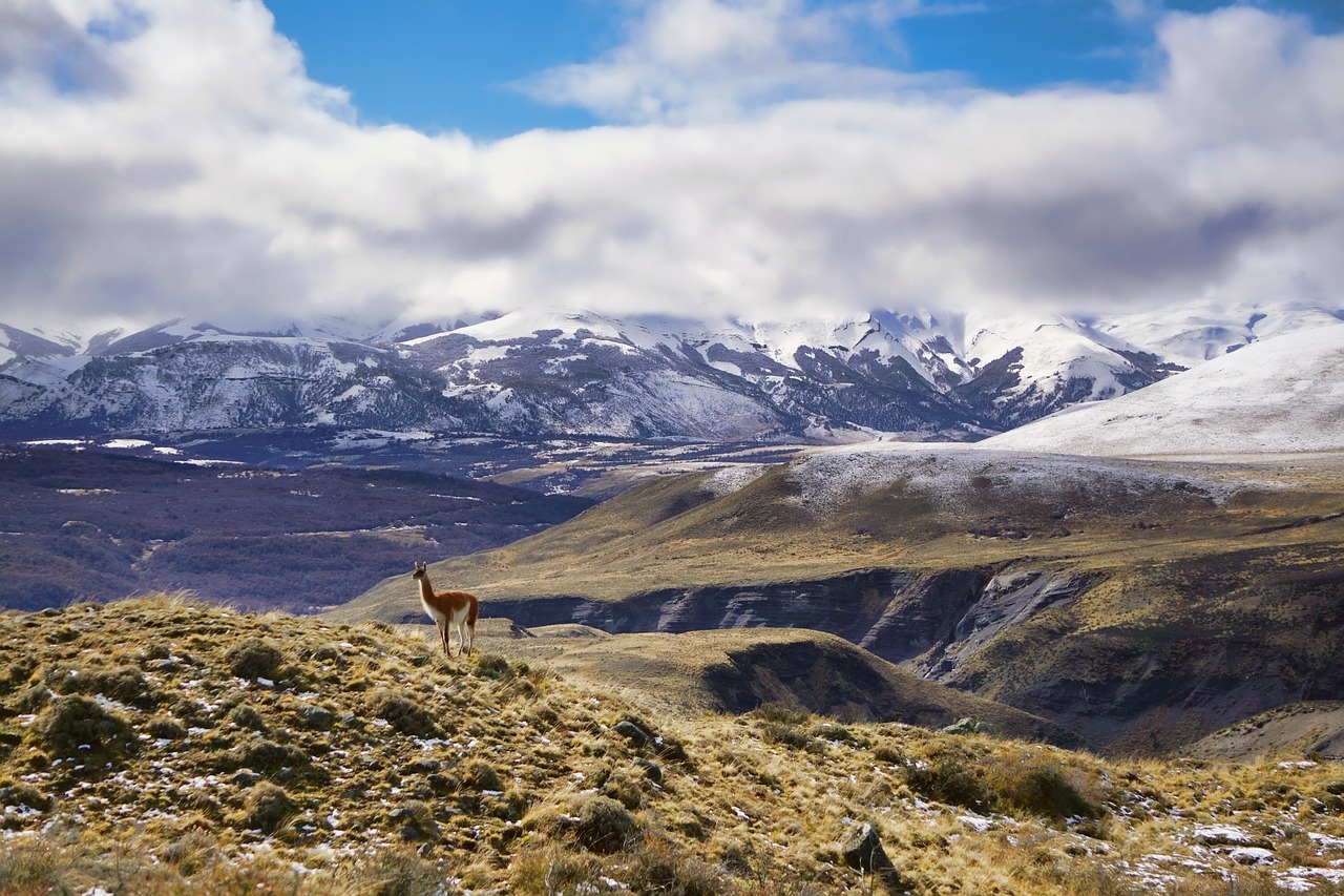 Argentina's Patagonia: Land of the Giants (image credits: pixabay)