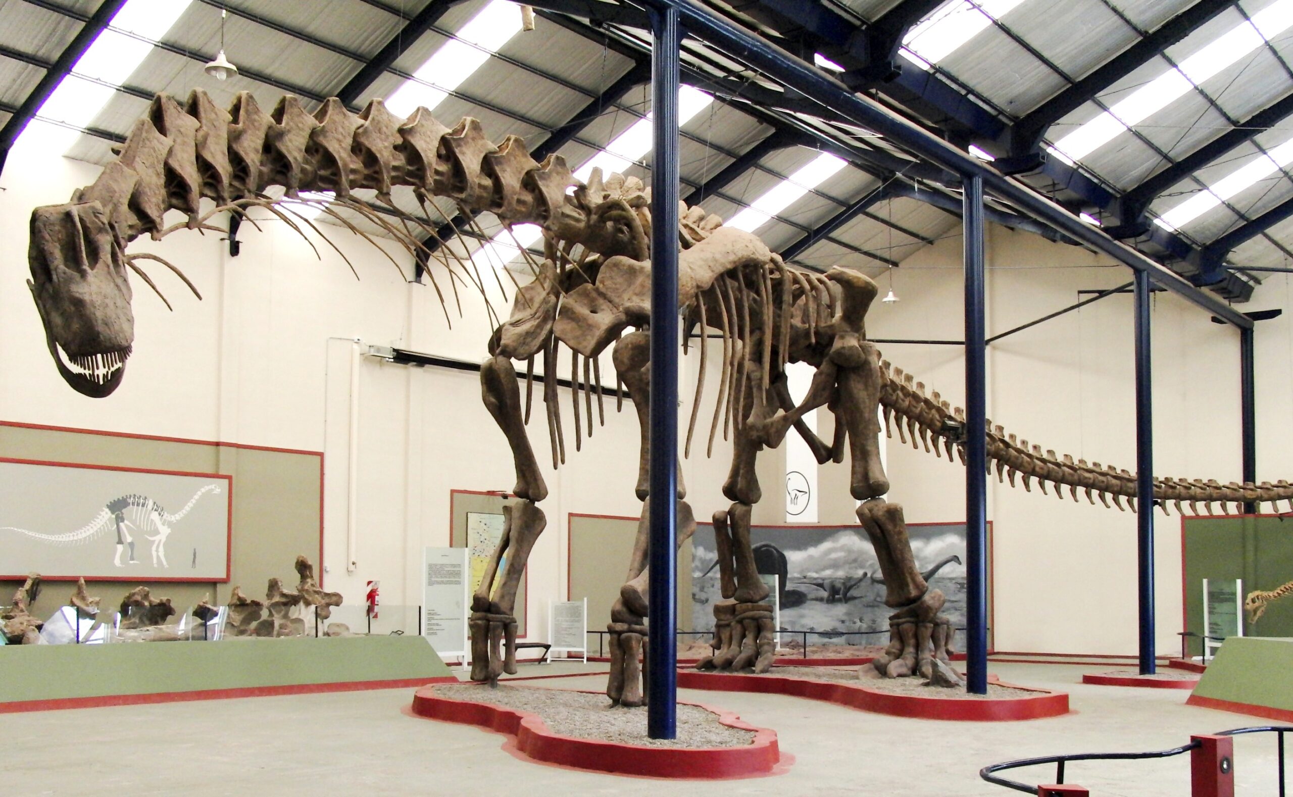 Argentinosaurus: The Titan That Redefined Gigantism (image credits: wikimedia)