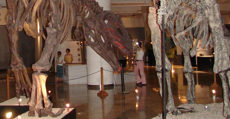 Dreadnoughtus: When Bigger Actually Meant Better (image credits: wikimedia)