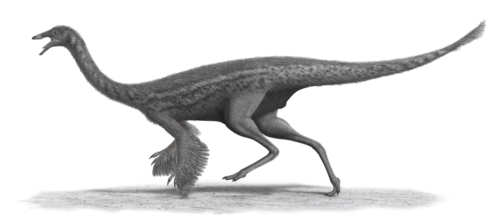 The Polar Dinosaur Migration Mystery (image credits: wikimedia)