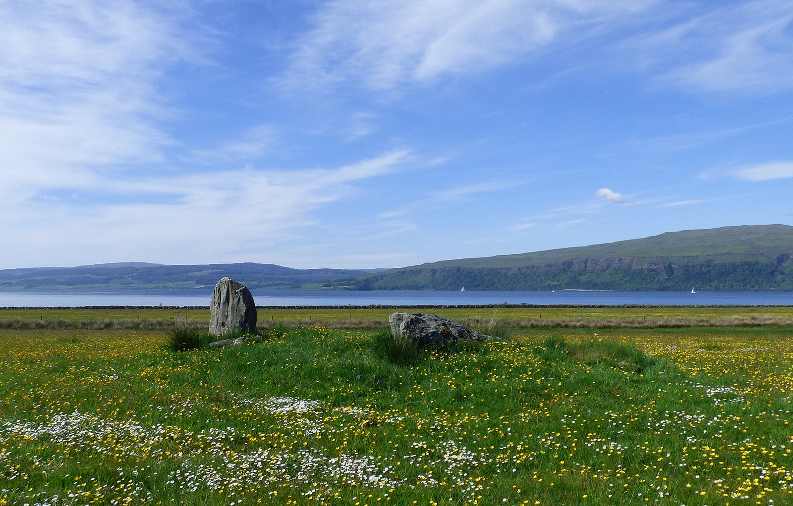 Climate Implications of Early Grass Evolution (image credits: wikimedia)