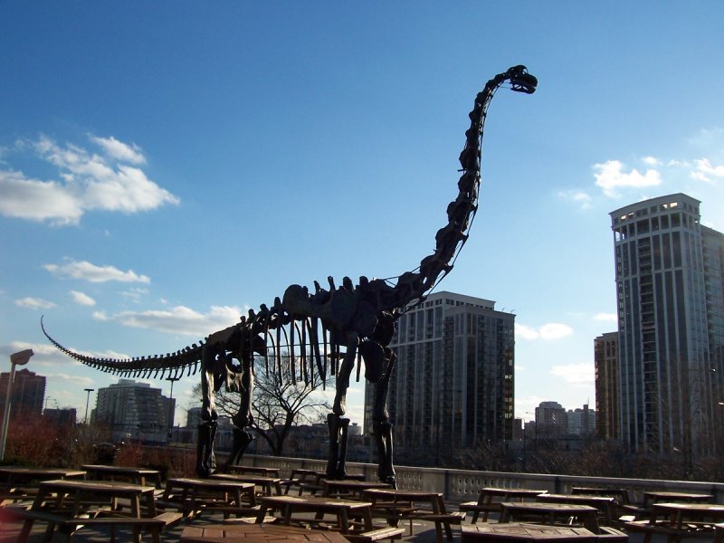Jurassic Titans: The Age of Colossal Sauropods (image credits: wikimedia)