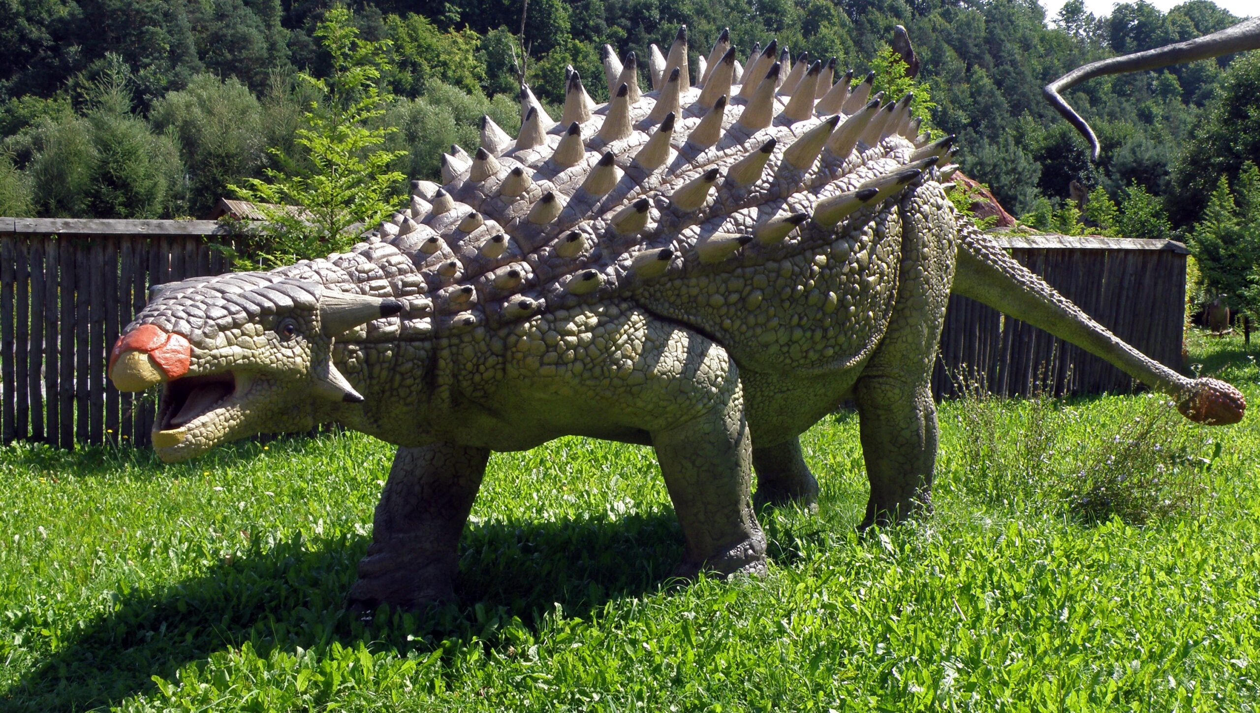 Armored Titans: The Heavily Defended Giants of the Cretaceous (image credits: wikimedia)