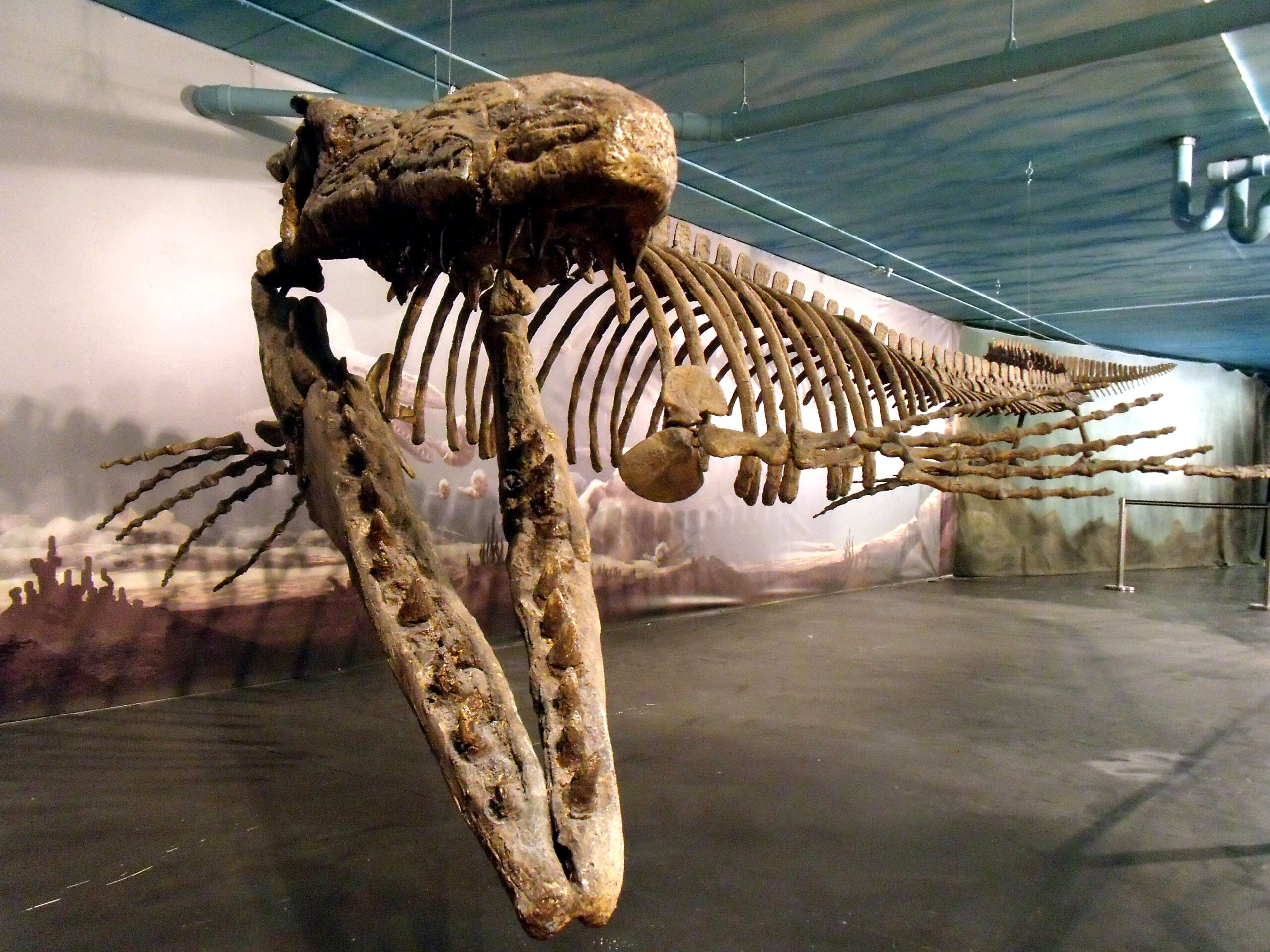 Cretaceous Apex Predators: Multiple Strategies for Hunting Giants (image credits: wikimedia)