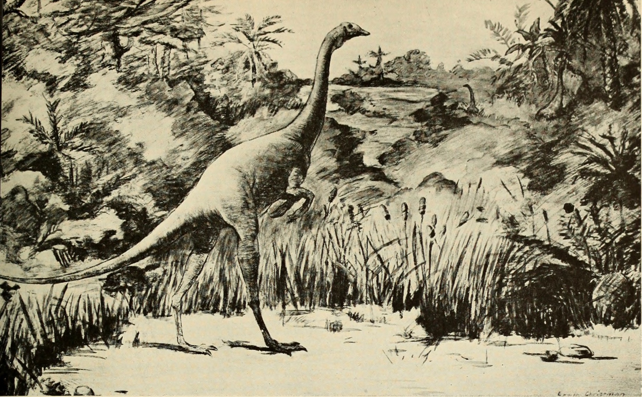 Seasonal Eating Patterns in the Cretaceous (image credits: wikimedia)
