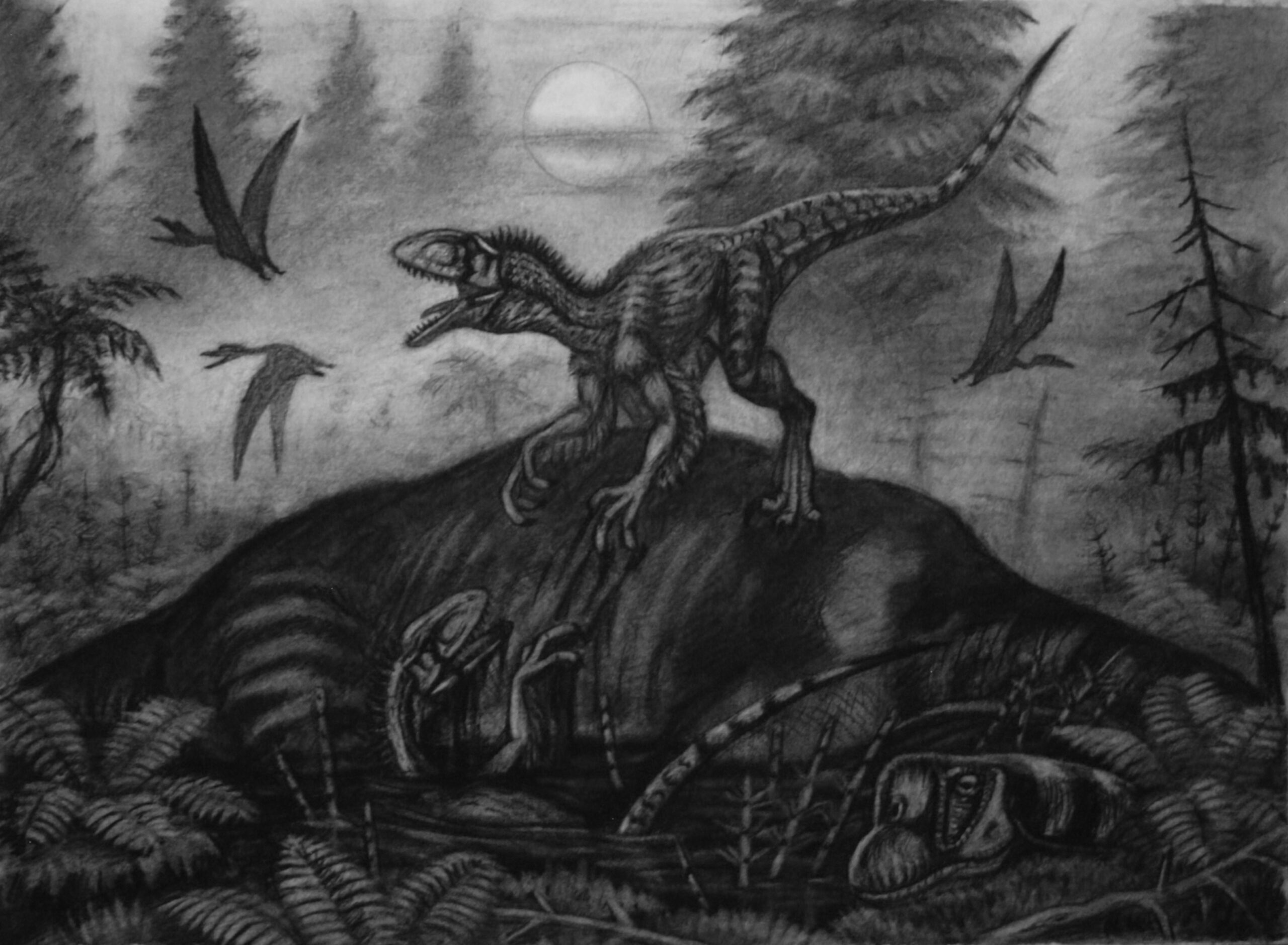 The Feathered Assassins That Changed Everything (image credits: wikimedia)
