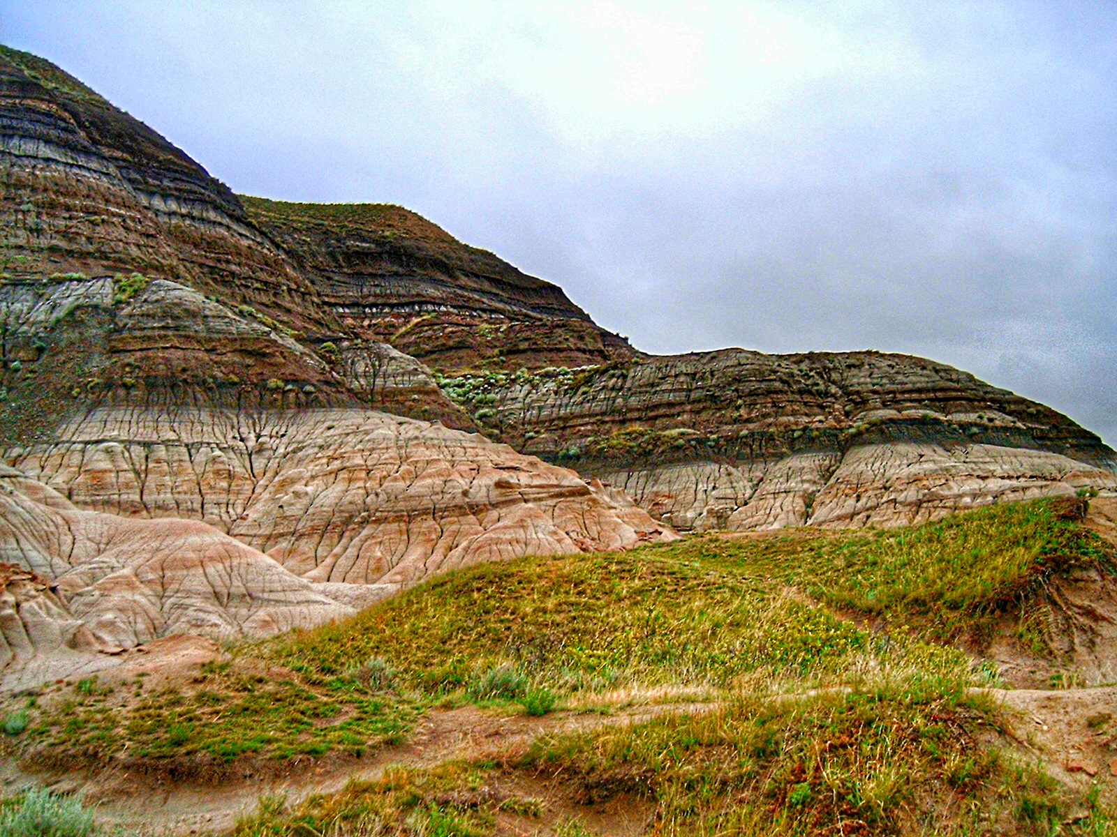 Biological Consequences: Life's Response to Cosmic Catastrophe (image credits: photo G Larson; Transferred from en.wikipedia, Public domain, https://commons.wikimedia.org/w/index.php?curid=3421909)