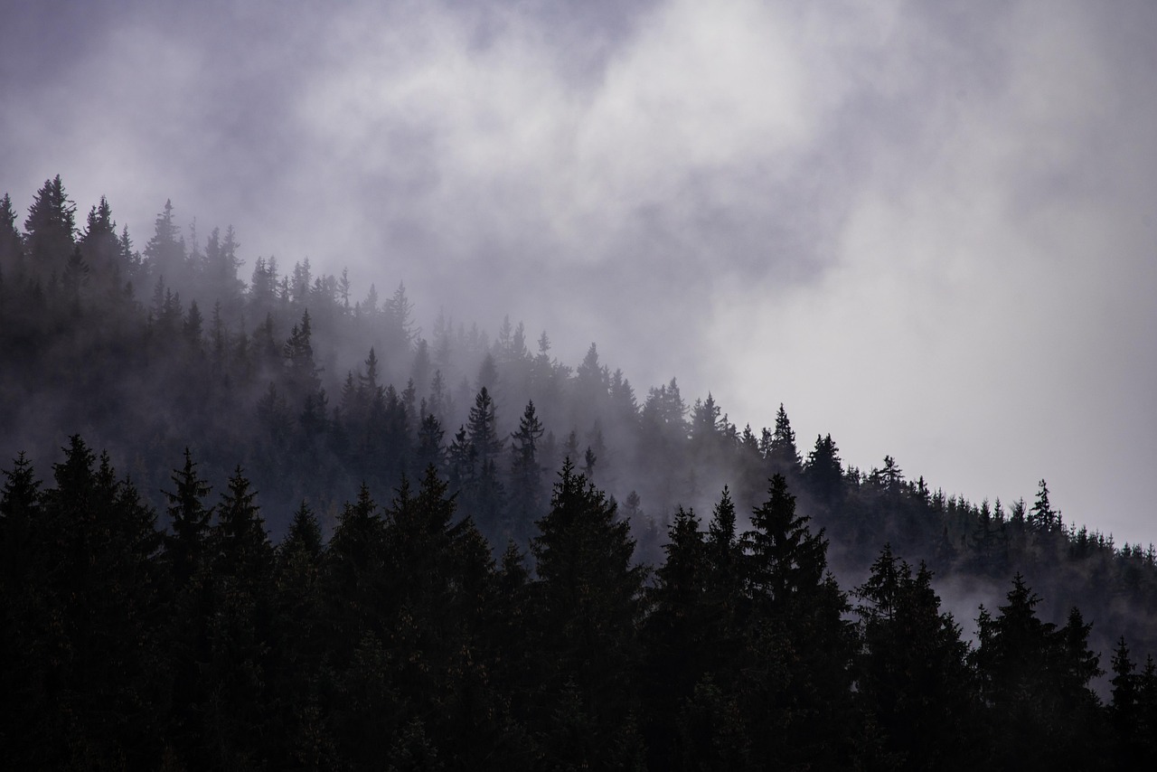 Nuclear Winter on Steroids: The Great Darkness (image credits: pixabay)