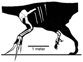 Size That Defied Imagination (image credits: By Jaime A. Headden (User:Qilong), CC BY 3.0, https://commons.wikimedia.org/w/index.php?curid=32295119)