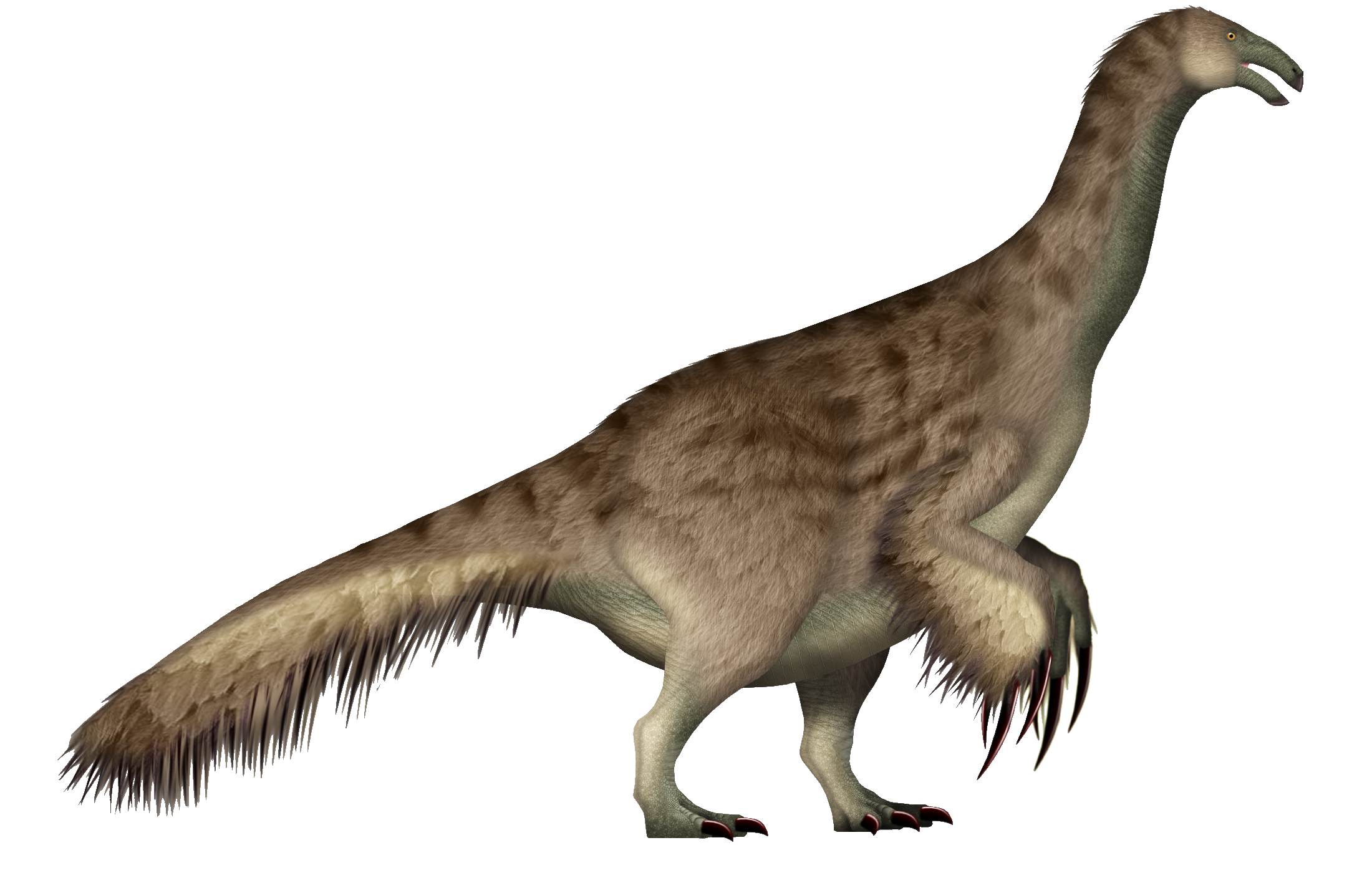 Defensive Capabilities of a Gentle Giant (image credits: wikimedia)