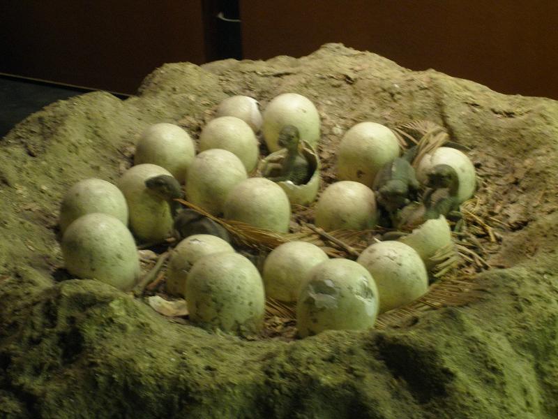 The Dinosaur Nursery That Rewrote Parenting Rules (image credits: wikimedia)