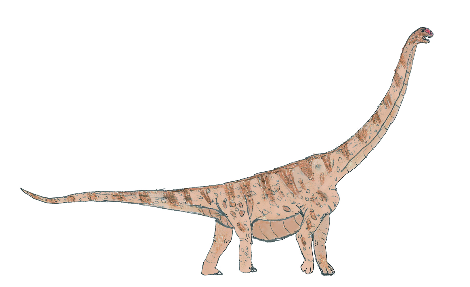 Prehistoric Ecosystem Engineers That Shaped Continents (image credits: Flickr: https://www.flickr.com/photos/zachievenor/14828259594/, CC BY 2.0, https://commons.wikimedia.org/w/index.php?curid=34546813)