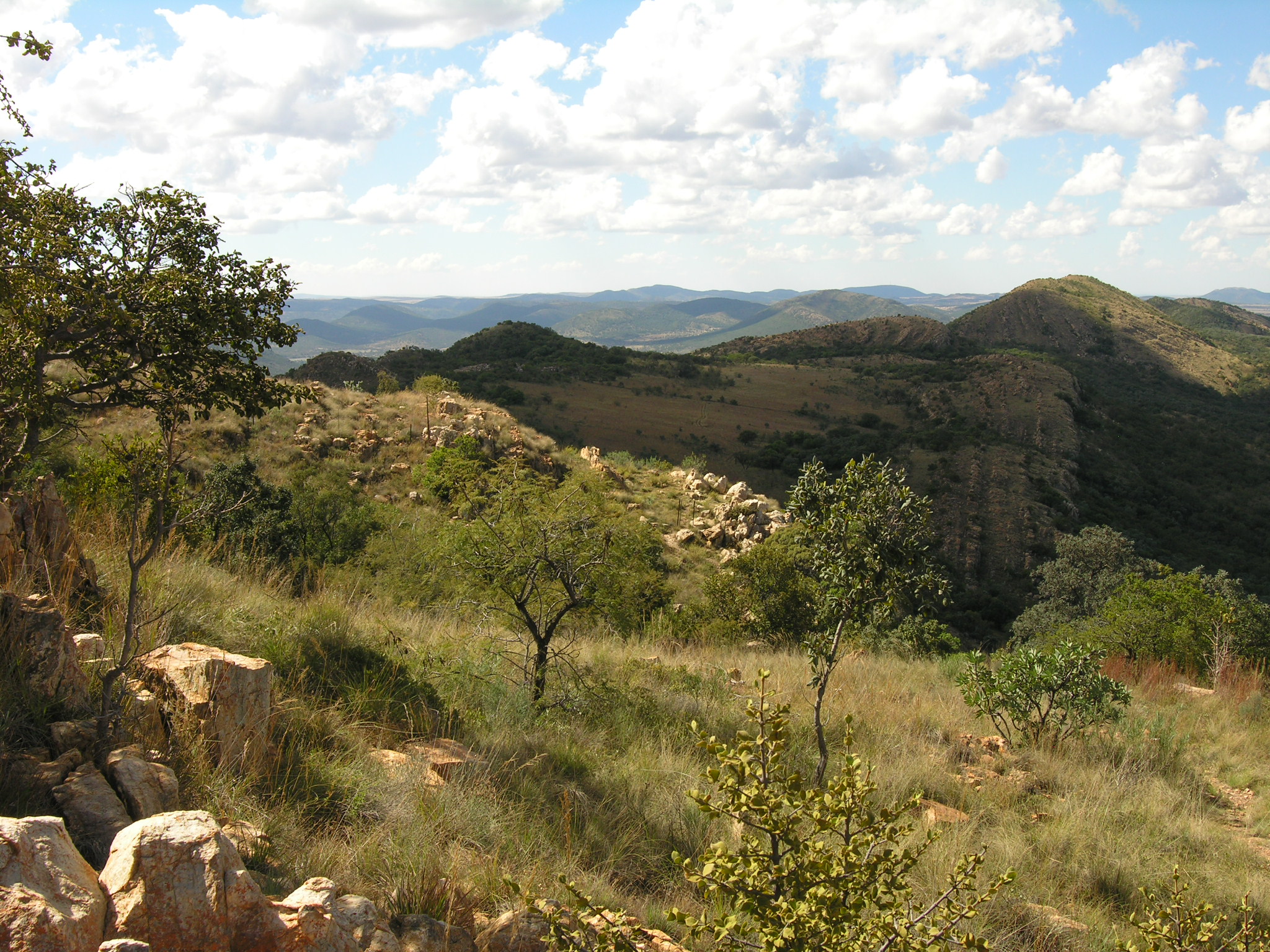 The Hidden Scars of Our Planet (image credits: This place is a UNESCO World Heritage Site, listed as
Vredefort Dome., CC BY-SA 3.0 igo, https://commons.wikimedia.org/w/index.php?curid=45806928)