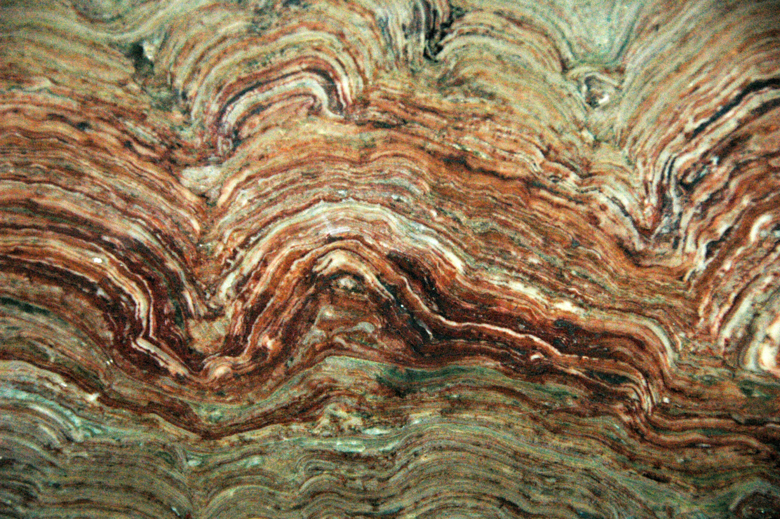 Stromatolites: The Billion-Year Calendar Keepers (image credits: Stromatolites (Snowslip Formation, Belt Supergroup, Mesoproterozoic, 1.44 Ga; Glacier National Park, Montana, USA) 3, CC BY 2.0, https://commons.wikimedia.org/w/index.php?curid=35287361)