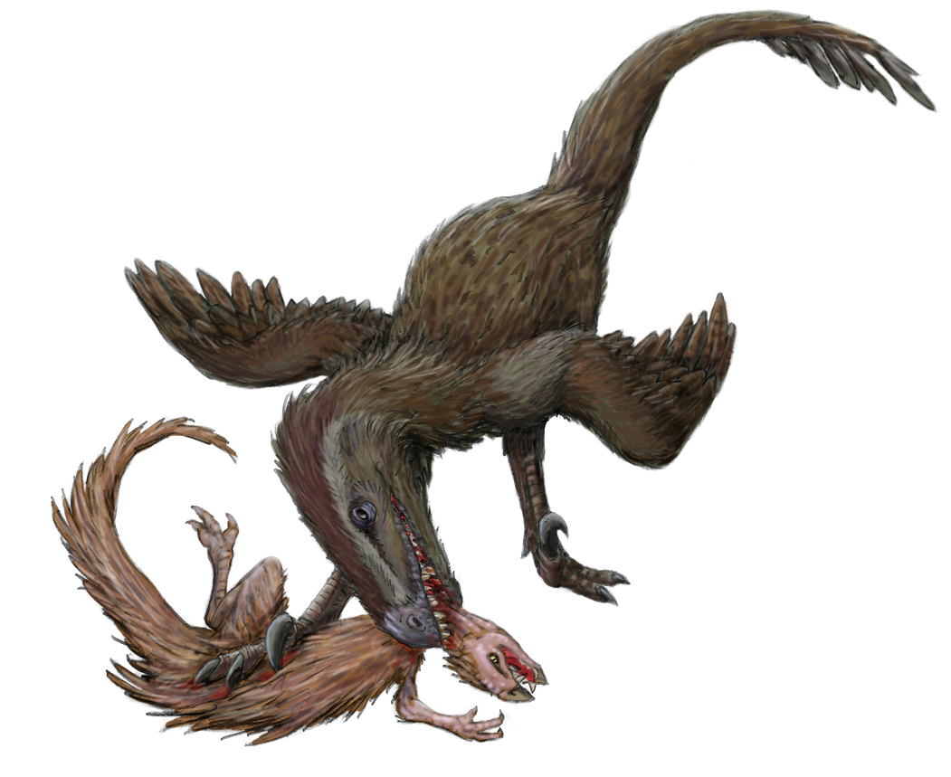 The Herrerasaurus Enigma (image credits: wikimedia)