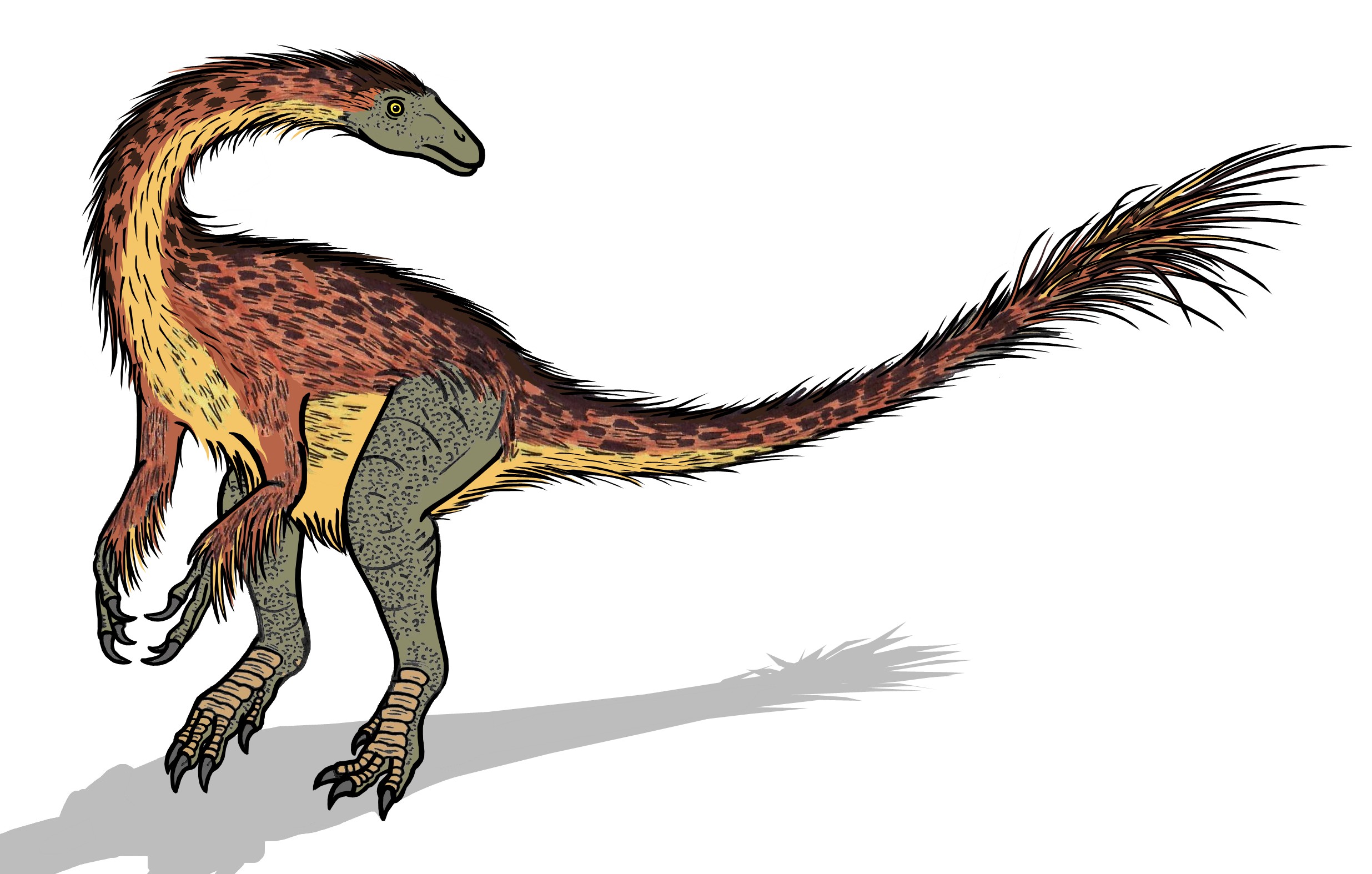 Plant-Eating Pioneers: The First Herbivorous Dinosaurs (image credits: wikimedia)