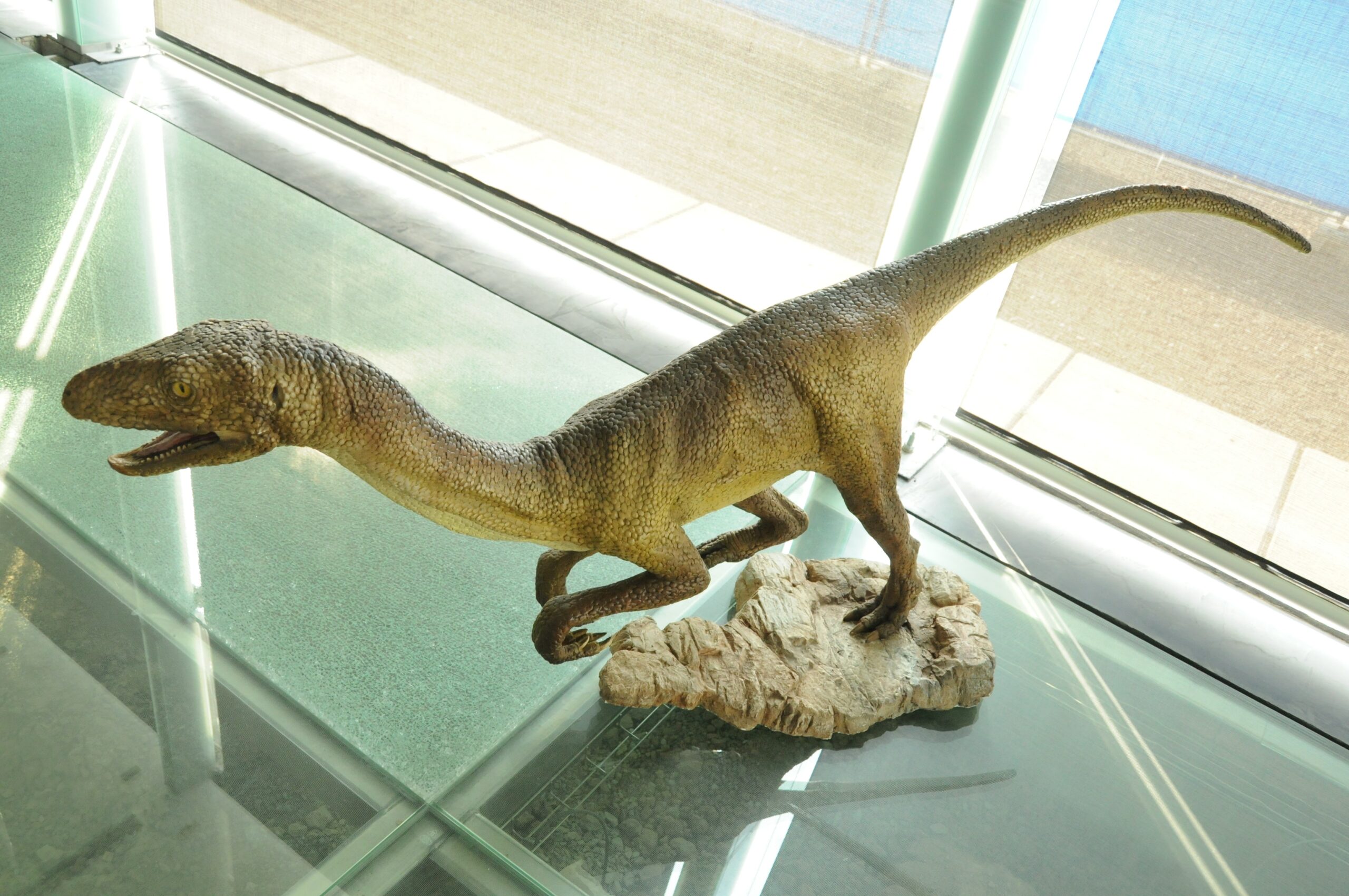 Competition with Crocodile-Line Archosaurs (image credits: wikimedia)