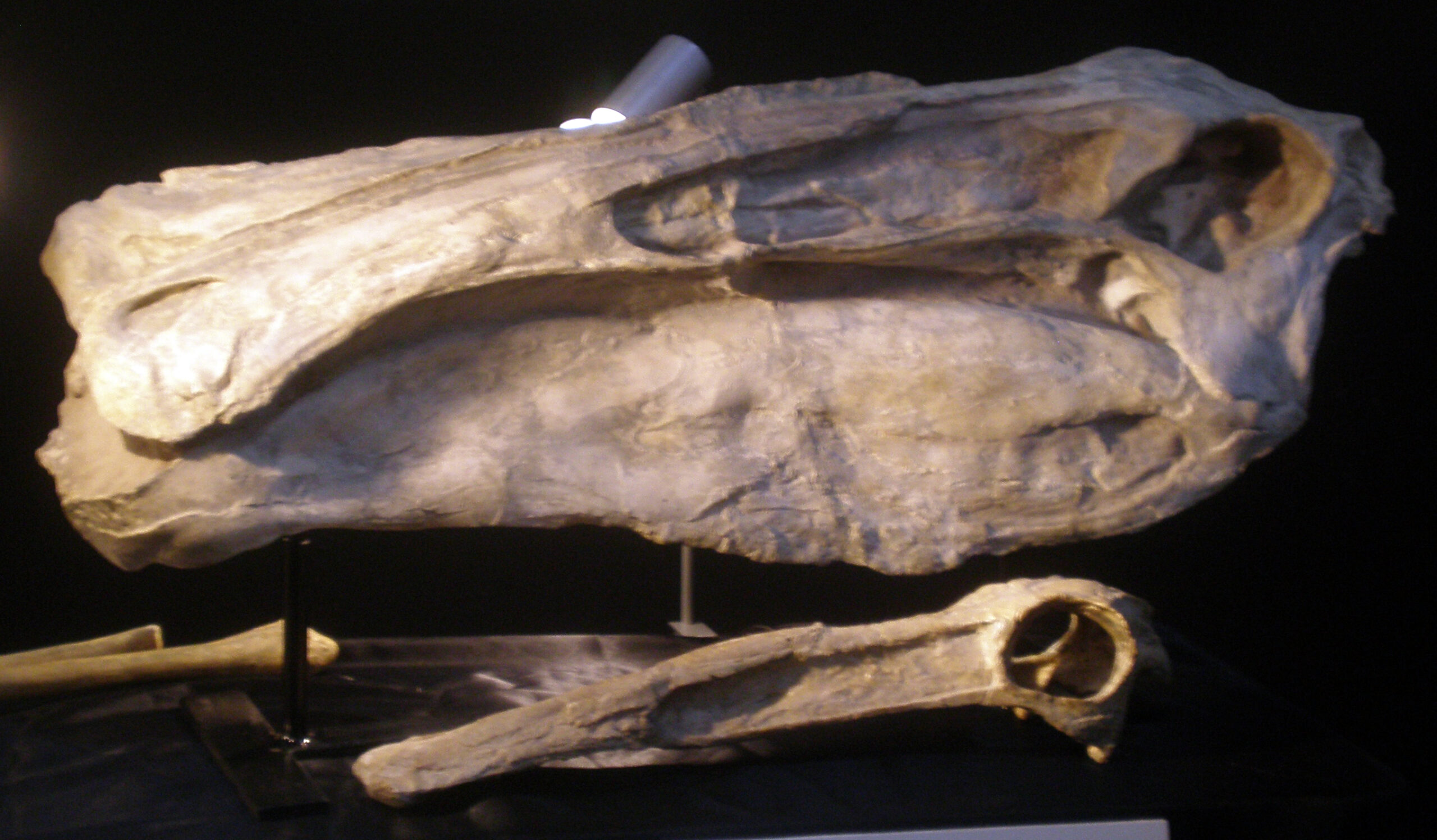 Lessons from the Mystery (image credits: wikimedia)