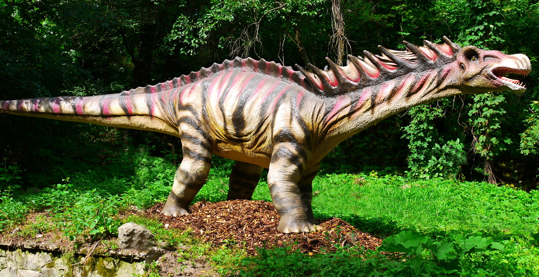 Amargasaurus: The Dinosaur with Built-in Sails (image credits: wikimedia)