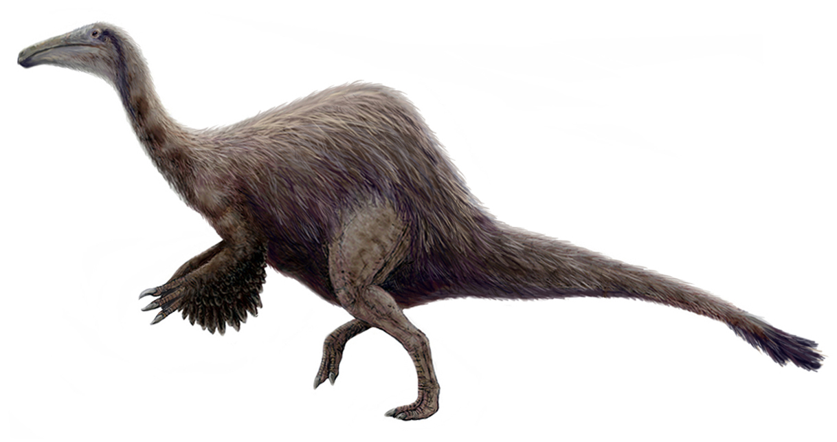 The Monster That Wasn't There (image credits: By FunkMonk (Michael B. H.), CC BY-SA 3.0, https://commons.wikimedia.org/w/index.php?curid=5163874)