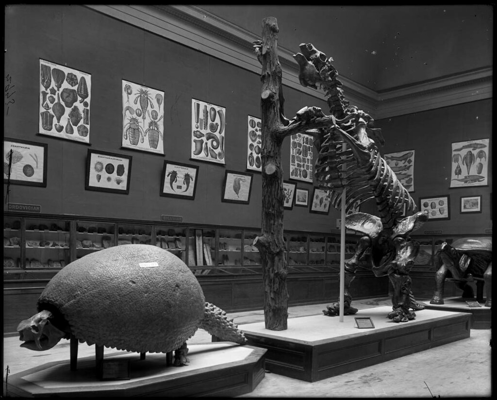 The Technology Revolution in Paleontology (image credits: flickr)