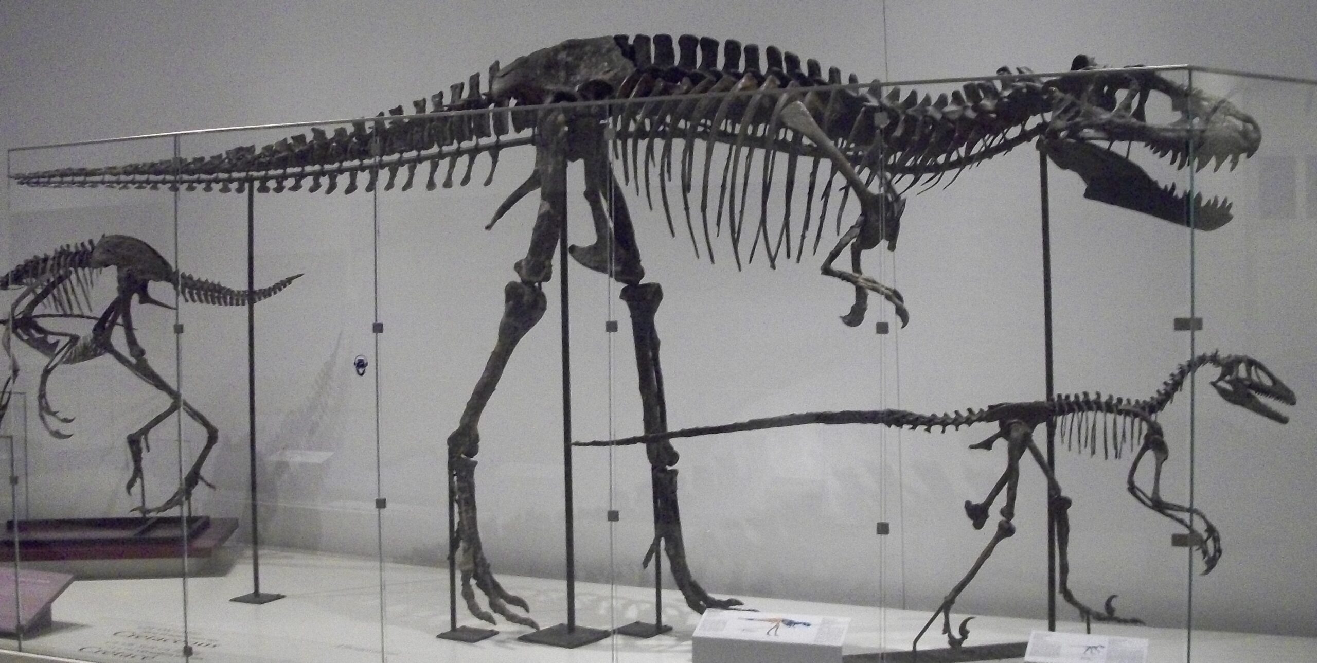 The Game-Changing 2014 Revelations (image credits: By Deinocheirus, CC BY-SA 3.0, https://commons.wikimedia.org/w/index.php?curid=18277077)