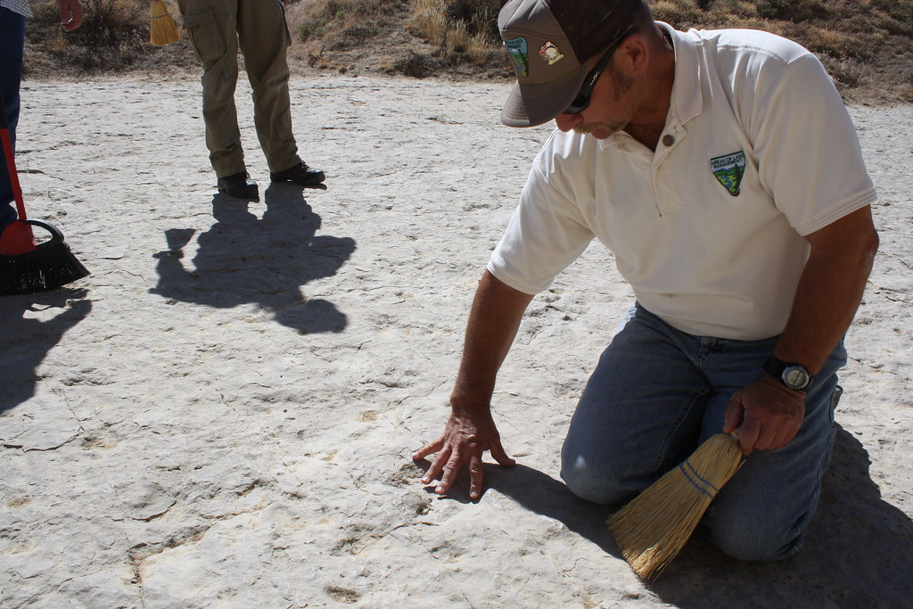 The Future of Paleontological Detective Work (image credits: flickr)