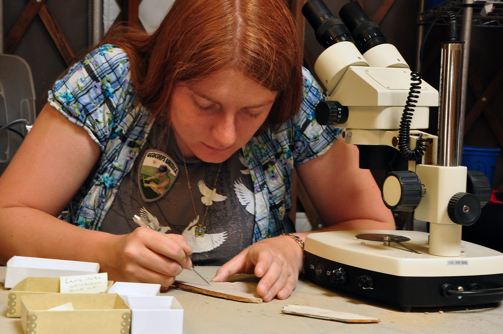The Legacy of Patience in Science (image credits: flickr)