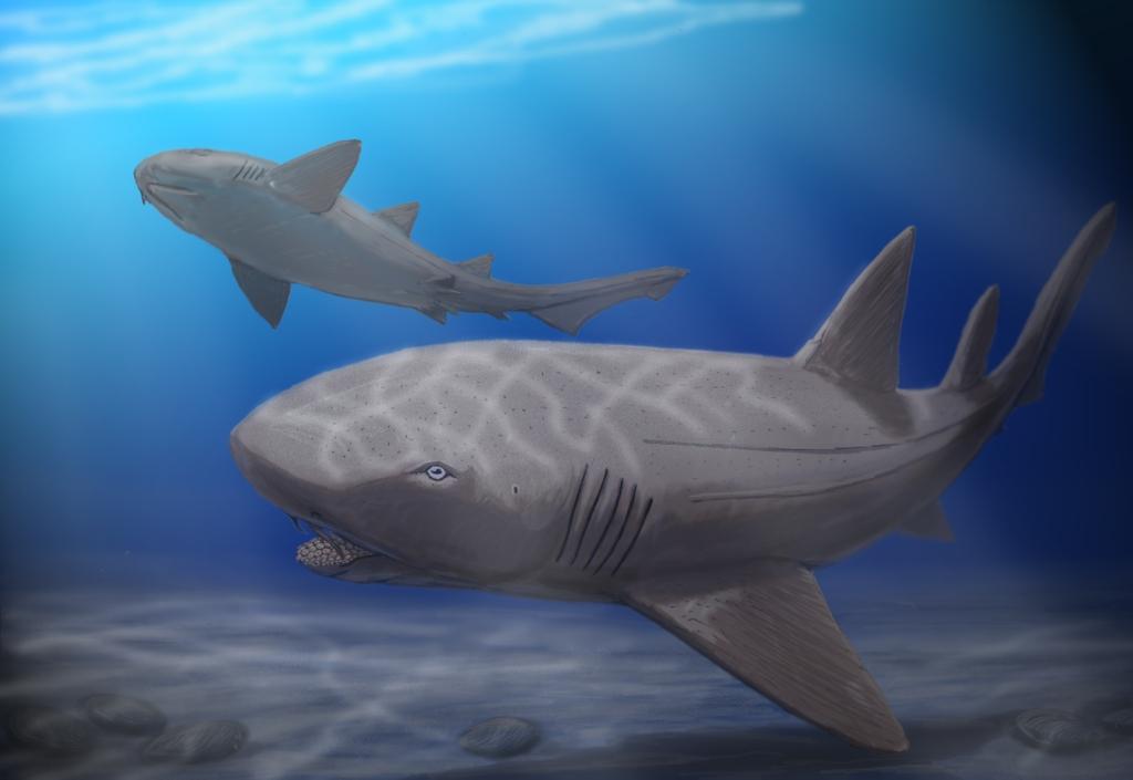 Ptychodus: The Gentle Giant with a Crushing Personality (image credits: dmitrchel@mail.ru, CC BY 3.0, https://commons.wikimedia.org/w/index.php?curid=9549501)