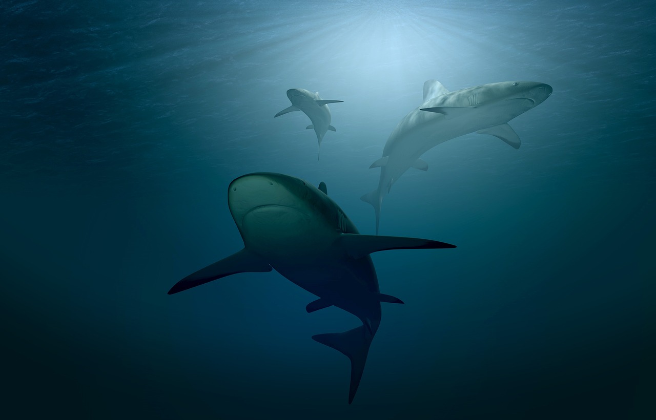 The Legacy of Mesozoic Marine Dominance (image credits: pixabay)