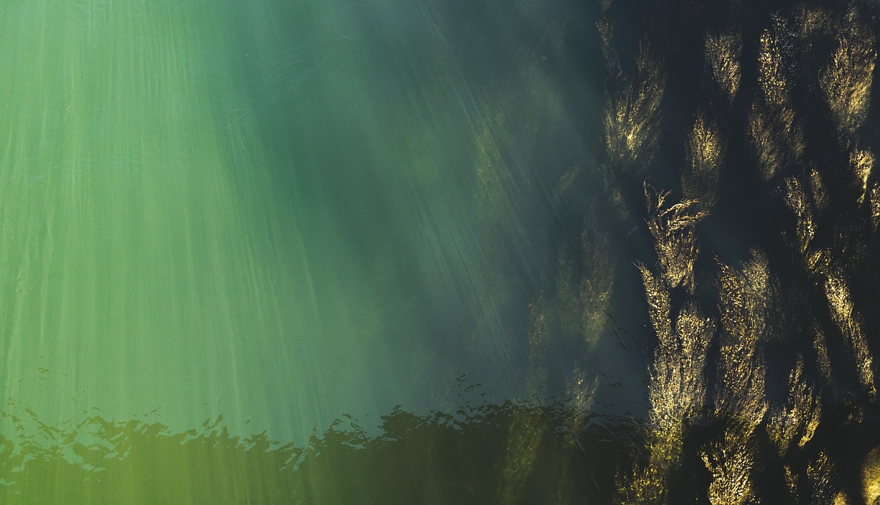 Ancient Ocean Battlegrounds (image credits: pixabay)