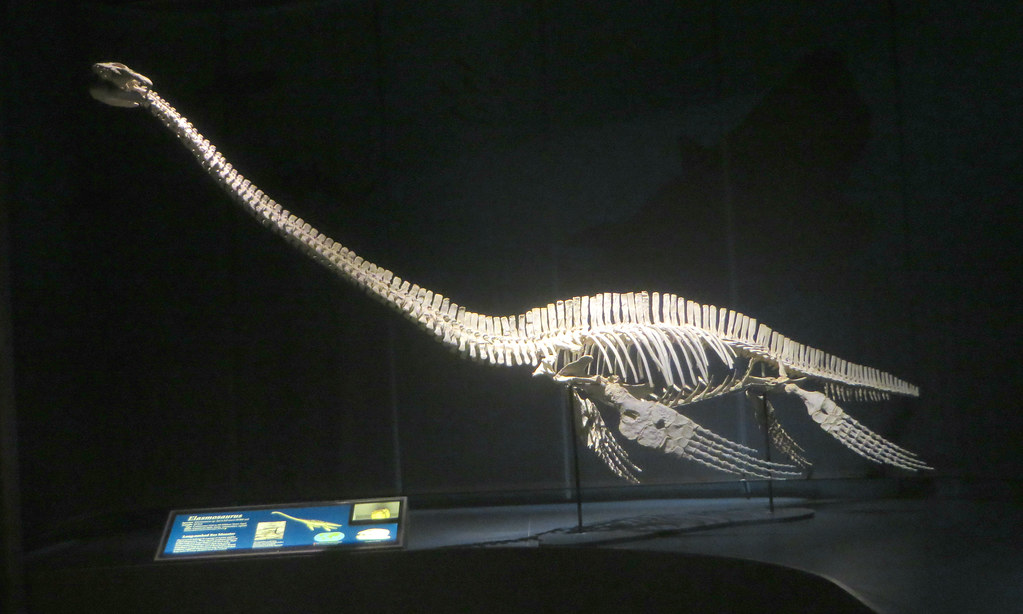 Size Matters: Comparing the Giants (image credits: flickr)