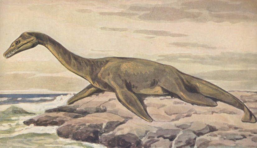 Evolutionary Adaptations: The Arms Race (image credits: By Heinrich Harder (1858-1935), Public domain, https://commons.wikimedia.org/w/index.php?curid=4341705)