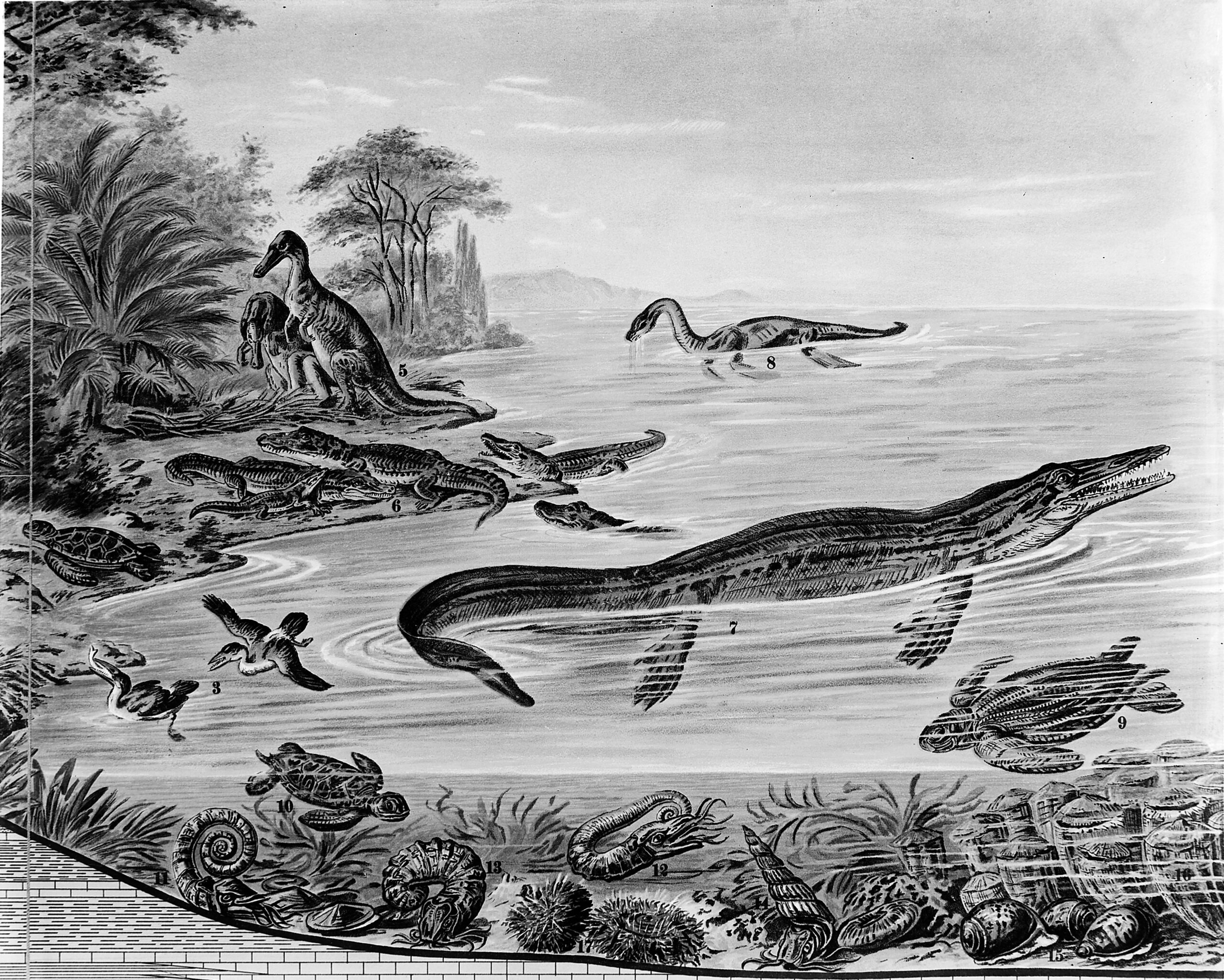 Climate Stability Supporting Long-Term Evolution (image credits: CC BY 4.0, https://commons.wikimedia.org/w/index.php?curid=36336914)