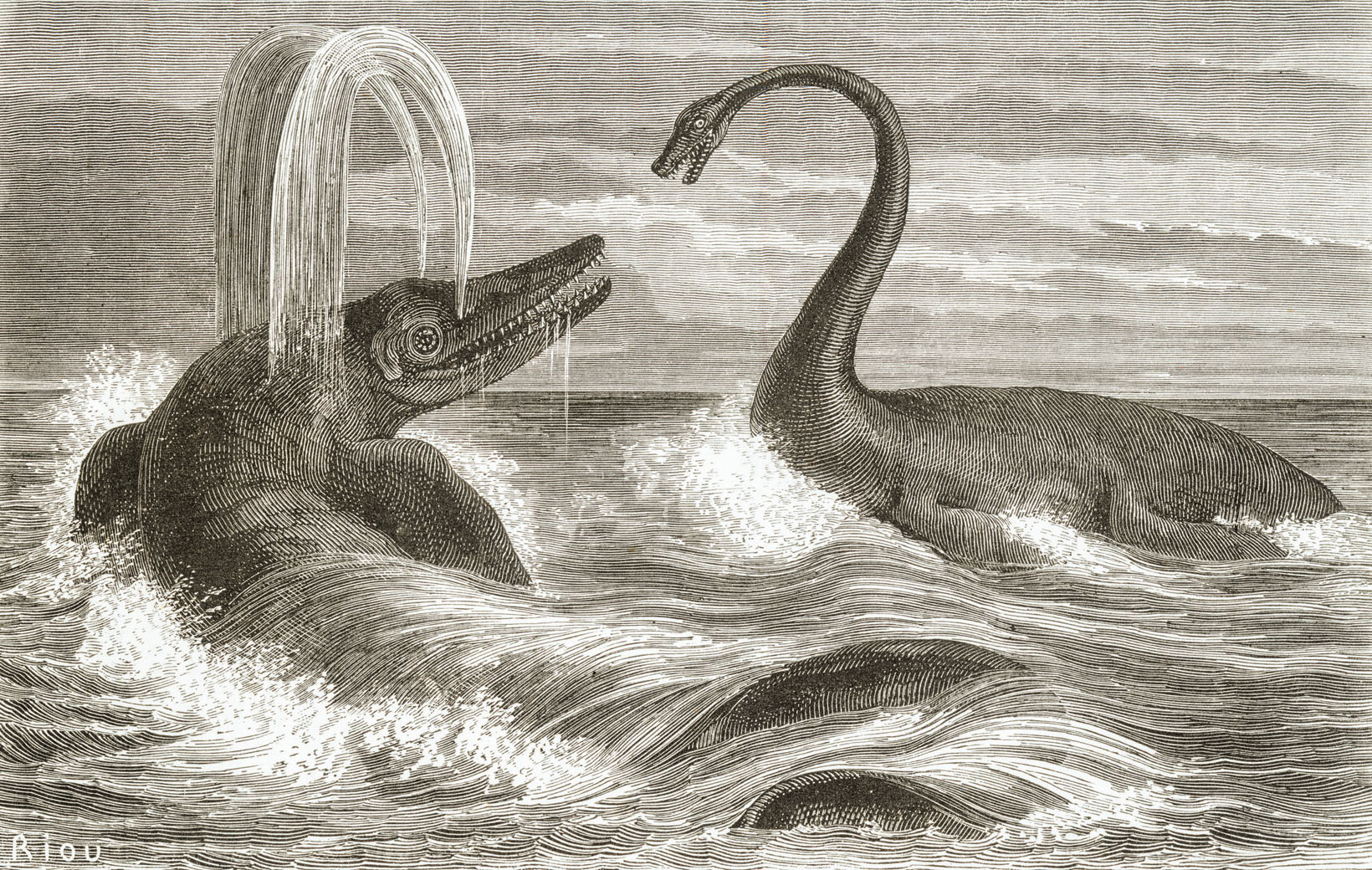 Marine Monsters: When Oceans Ruled (image credits: wikimedia)