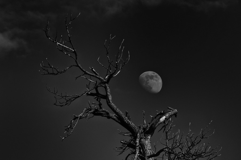 The Nuclear Winter That Followed (image credits: flickr)