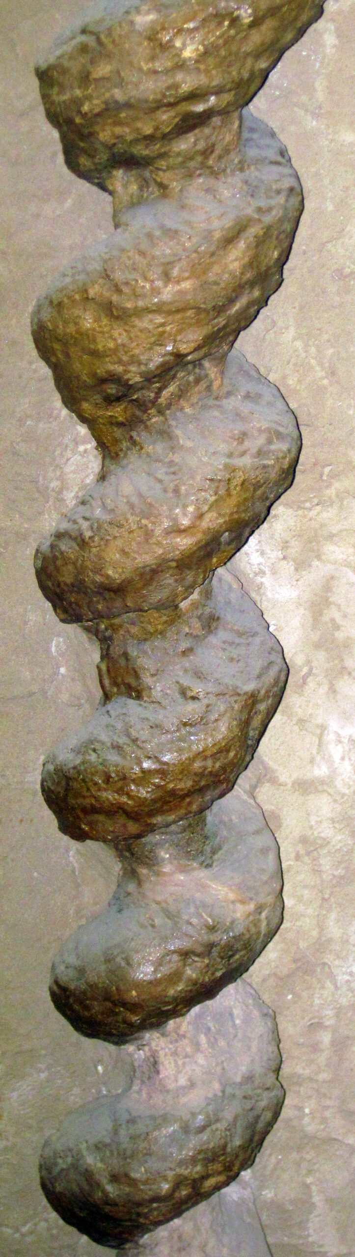 Cowboys vs. Dinosaurs: The Wild West Gets Wilder (image credits: wikimedia)